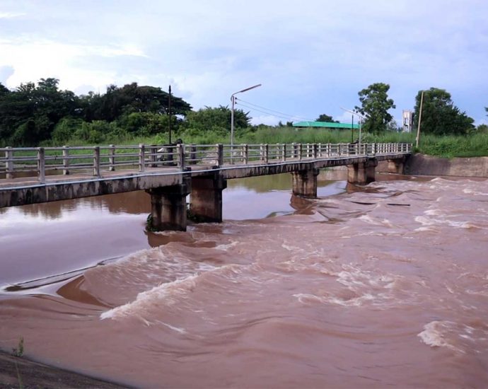 Red flags fly as Yom, Nan rivers at critical levels in Phichit