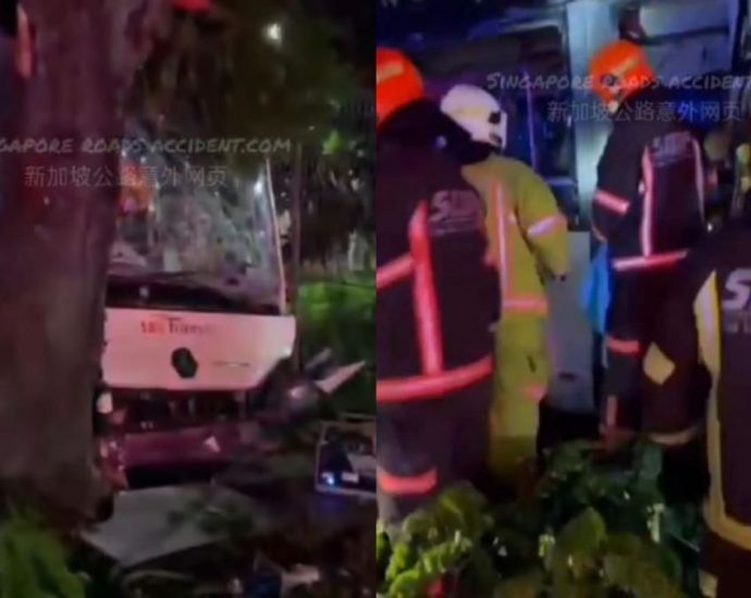 SBS transit driver dies after bus crashes into tree outside Hougang depot