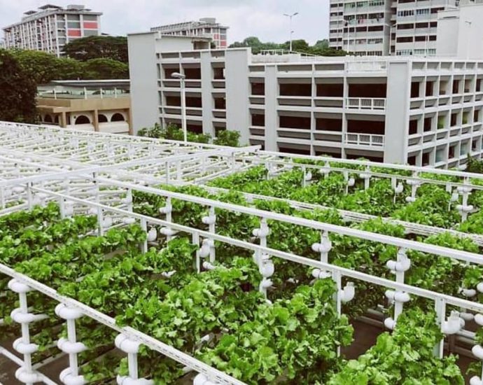 Singapore to invest additional S5 million in food security programme: DPM Heng