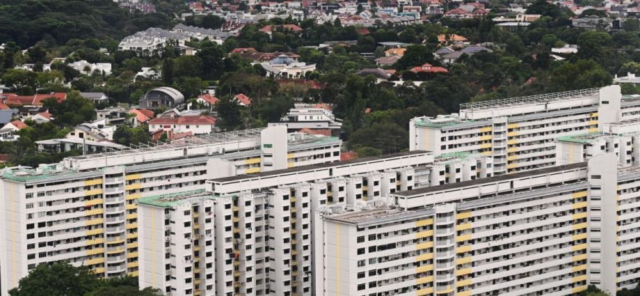 Singapore’s household debt situation ‘healthy’, with low non-performing home loans: Alvin Tan