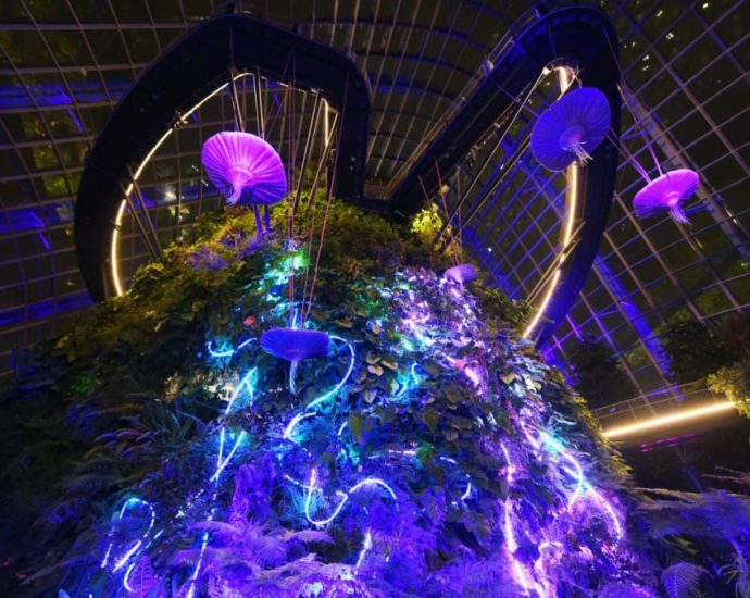 Welcome to Pandora: Check out the new Avatar immersive exhibit at Gardens by the Bay’s Cloud Forest