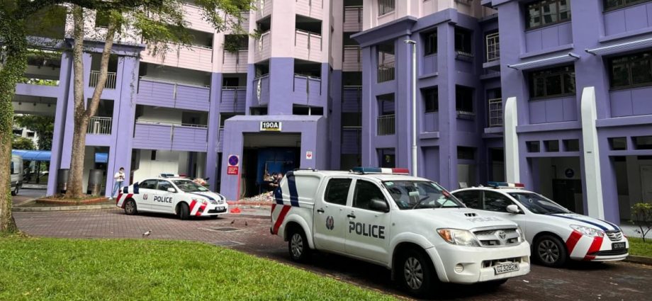 31-year-old woman arrested for suspected murder of her father in Sengkang