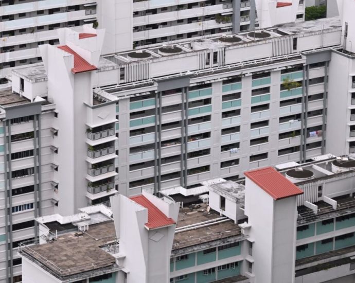 About 3% of HDB flat owners own at least 1 private property: Desmond Lee