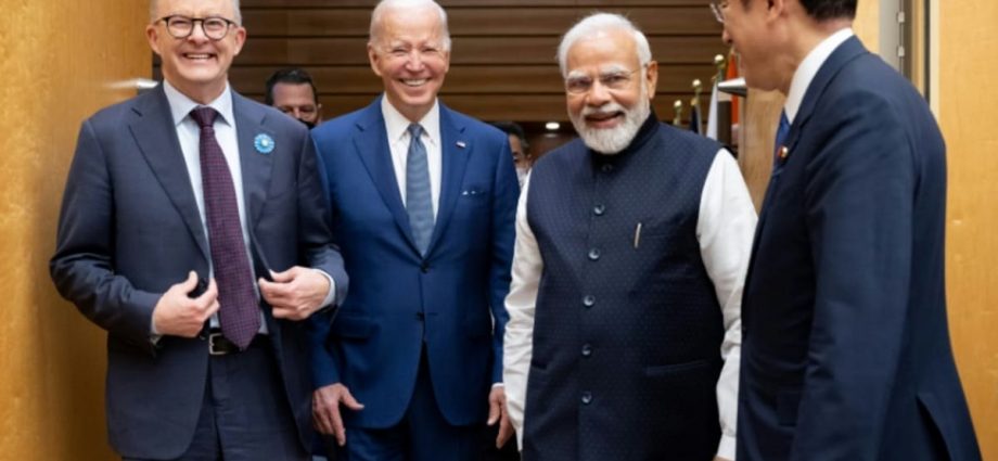 India-US ties may be tested by potential power shifts following mid-term elections