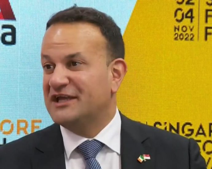 Irish DPM Varadkar leads mission to Singapore FinTech Festival, looks at clean energy collaboration next