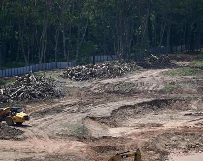 JTC Corporation officer and his then-supervisor plead guilty to causing illegal clearing of Kranji woodland