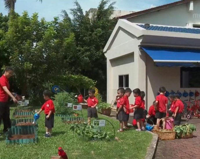 More pre-schools in Singapore sowing seeds of sustainability in their pupils