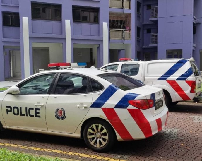 Woman charged with murdering her father in Sengkang flat