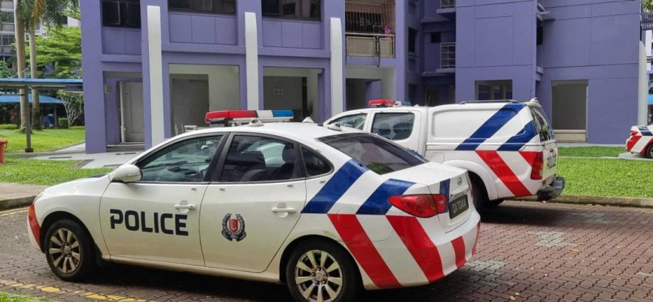 Woman charged with murdering her father in Sengkang flat