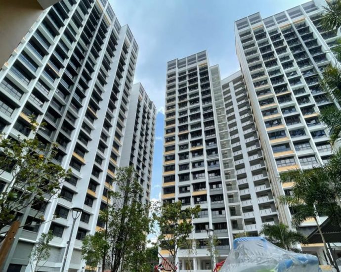 HDB investigating BTO flats being sold after being left vacant for years; 53 cases since 2017