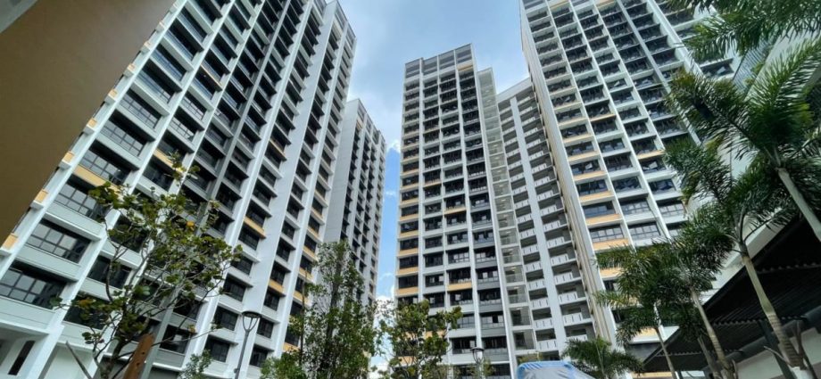 HDB investigating BTO flats being sold after being left vacant for years; 53 cases since 2017