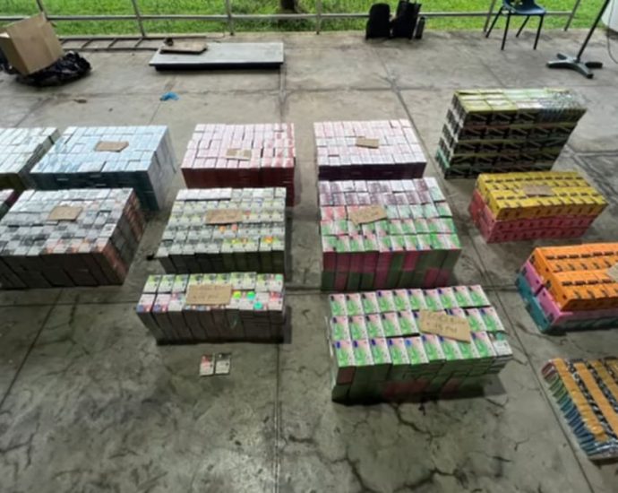 Nearly 30,000 e-vaporiser products seized from lorry carrying frozen chicken nuggets at Tuas Checkpoint