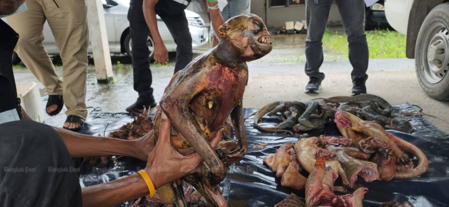 Woman caught with carcasses of protected wildlife
