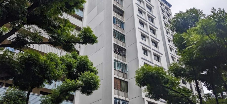 Chanting noises at Compassvale Drive cause weeks of ‘headache’ for residents