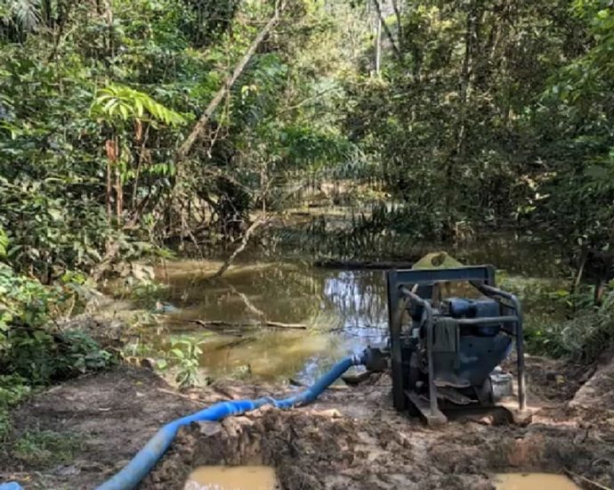 Fallen trees, muddy waters: Cyclists concerned about flooded Bukit Timah bike trail amid bad weather