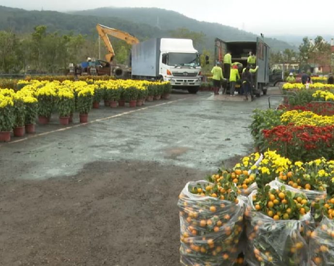 Flower sales bloom as Hong Kong celebrates Chinese New Year with most COVID-19 restrictions dropped