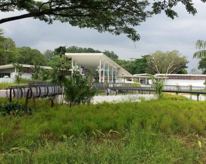 Parts of Sungei Buloh Wetland Reserve to be temporarily closed after man and 2-year-old daughter fell into hole in bridge