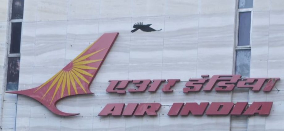 Regulator fines Air India US$37,000 for unruly passenger incident