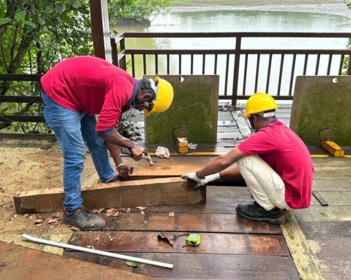 Repairs under way after man and daughter fell into hole in bridge at Sungei Buloh Wetland Reserve