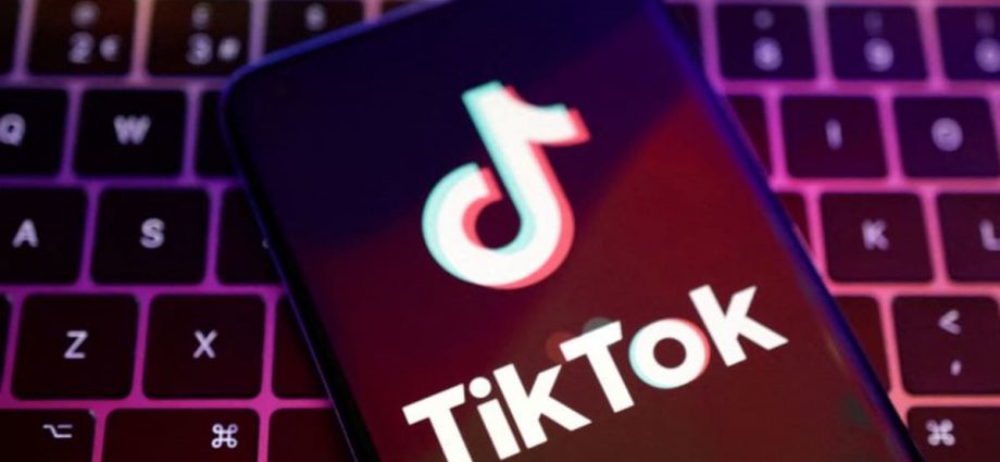 US House panel to vote next month on possible TikTok ban