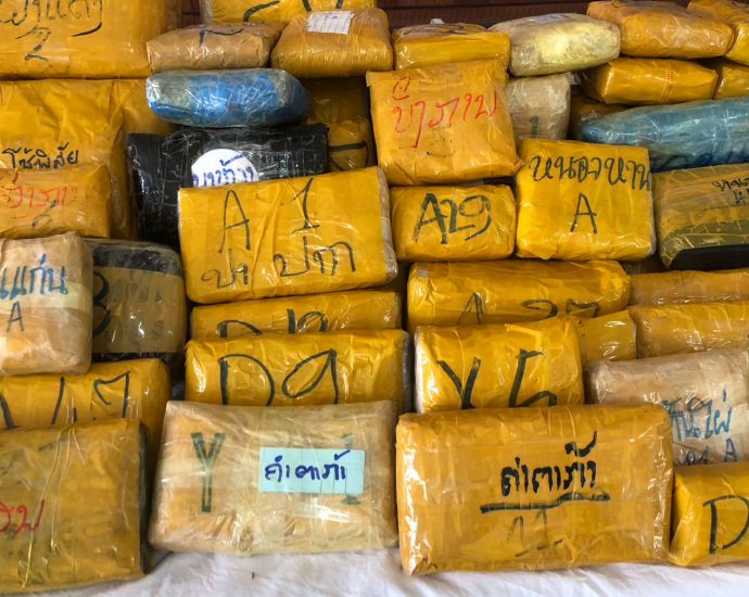 Big haul of speed pills and cannabis abandoned beside Mekong