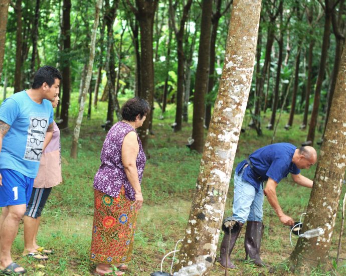 Cabinet okays B7.6bn for rubber price guarantees