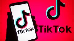 China hits out at US over TikTok ban on federal devices