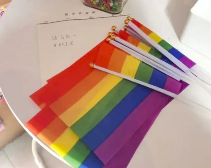 Chinese university students sue education ministry after being disciplined over rainbow flags