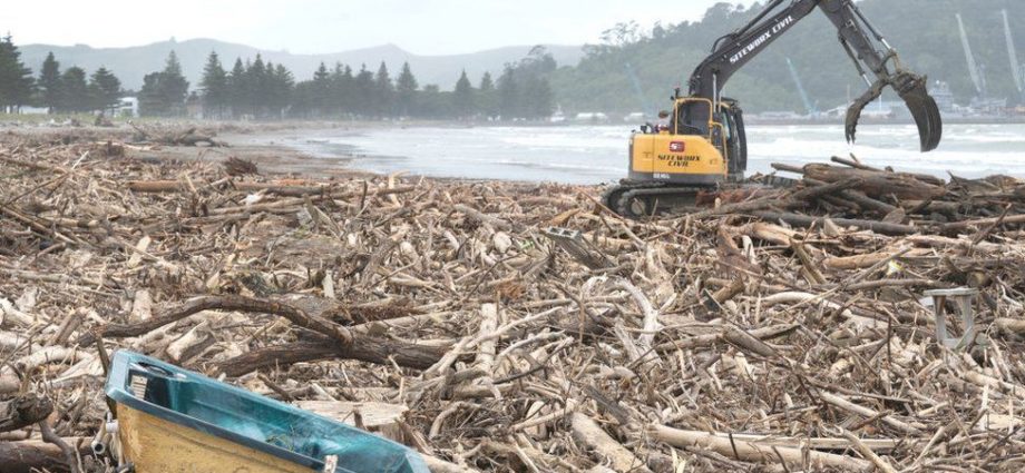 Cyclone Gabrielle: Rebuilding cost on par with Christchurch quake - NZ