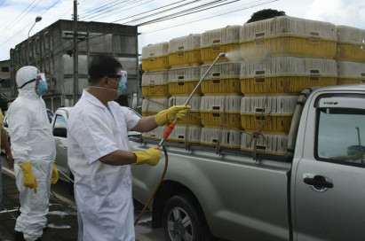 DDC issues bird flu alert after death in Cambodia