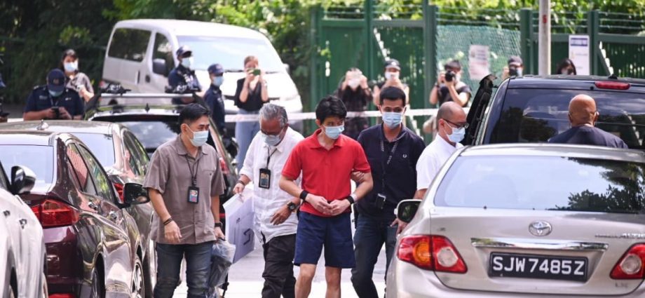 Death of Upper Bukit Timah twins: Father has murder charges reduced to culpable homicide