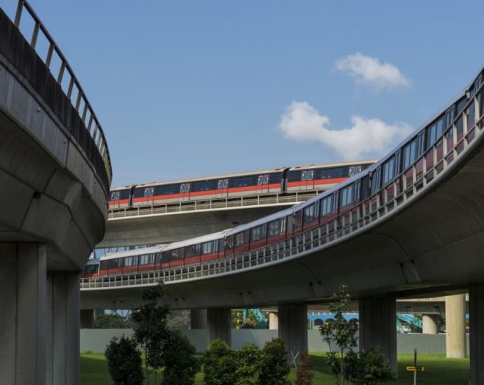 Fault on North-South Line causes delays; service at several stations affected for about 6 hours