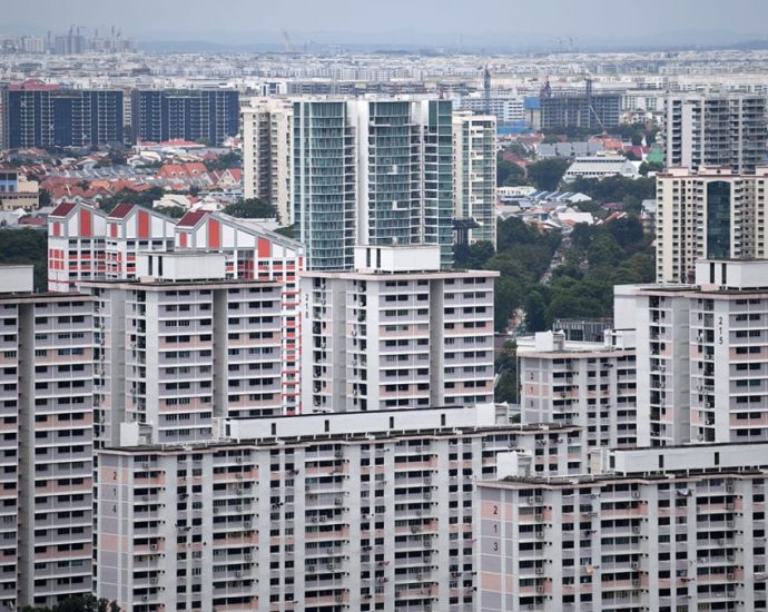 ‘Generosity’ of VERS scheme will give flat owners remaining value of lease: Sim Ann