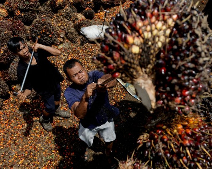 Indonesia, Malaysia to send palm oil envoys to EU over deforestation law