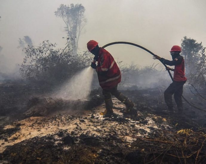 Indonesia to prevent peatland fires using ‘weather modification technology’