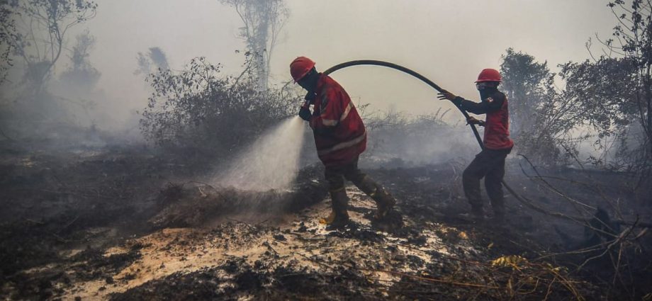 Indonesia to prevent peatland fires using ‘weather modification technology’