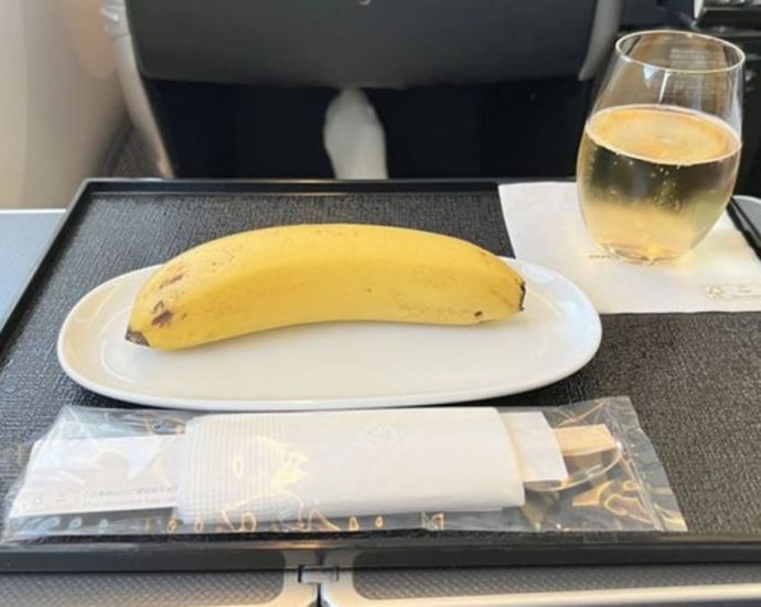 Japan Airlines passenger served single banana for vegan breakfast on business class flight