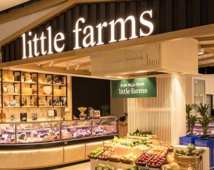 Little Farms fined for failing to arrange for SFA inspections, selling imported food before checks