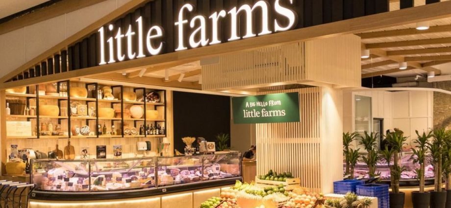 Little Farms fined for failing to arrange for SFA inspections, selling imported food before checks