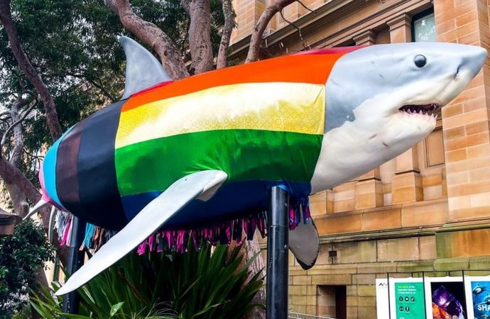 Mardi Gras: Australia’s PM Anthony Albanese first to join march