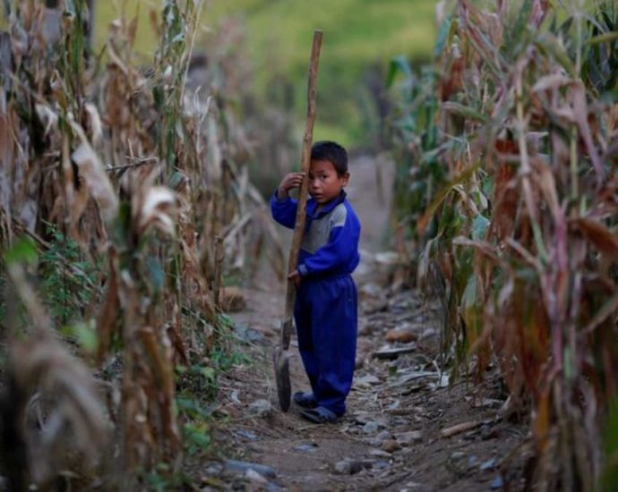 North Korean food shortage deteriorating, says South Korea’s unification ministry