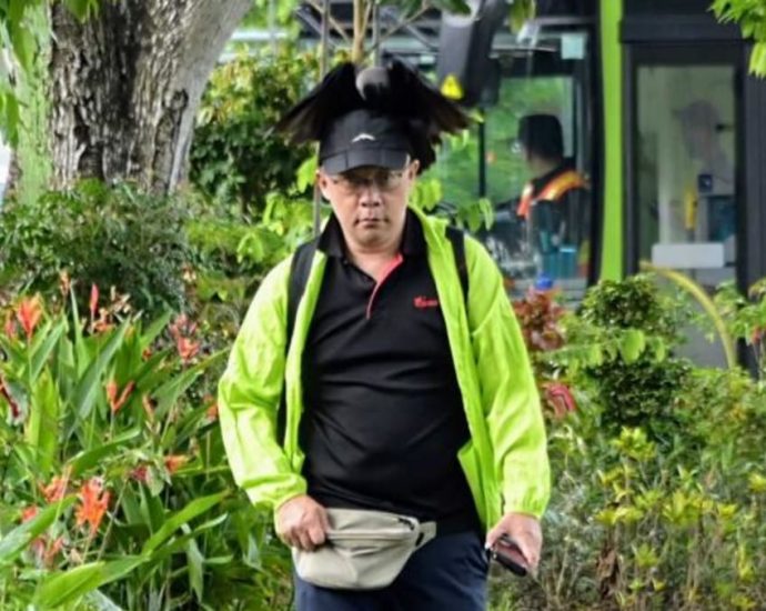 Pathway in Bishan temporarily closed after crows attack passers-by