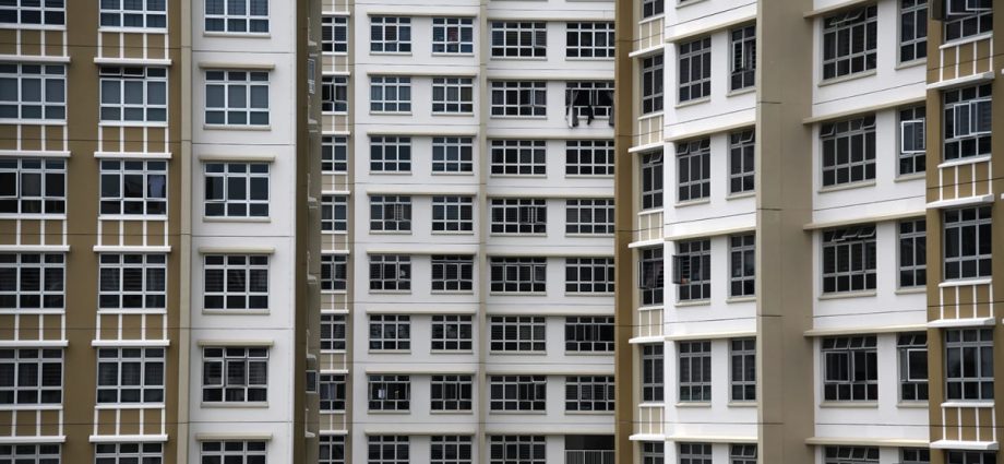 PSP calls for housing policy 'reset', Government stresses HDB flats remain affordable and accessible