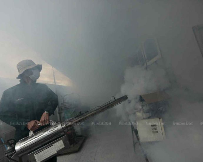 Public warned after dengue fever spikes in Jan; 1 dead