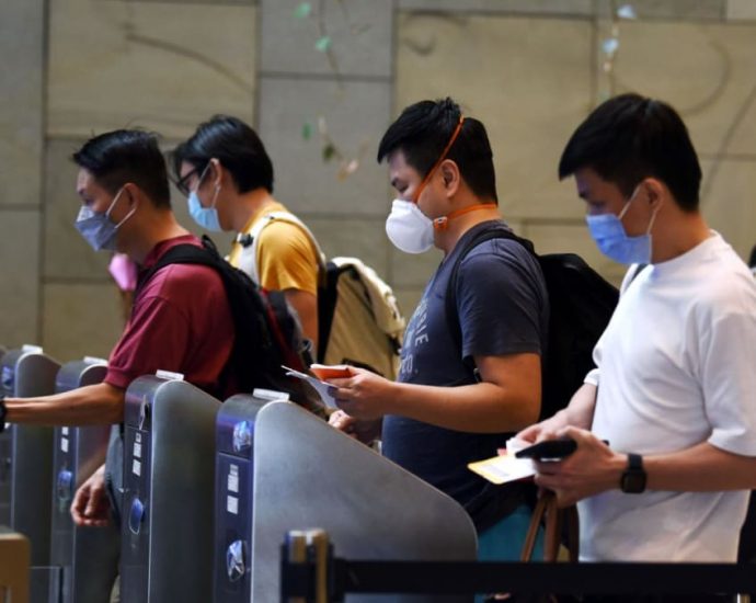 Singapore to add 61 automated lanes at border checkpoints as traveller volumes surge