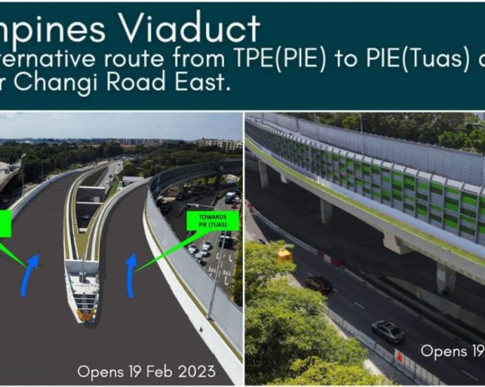 Tampines Viaduct to open on Feb 19 after 3-year delay