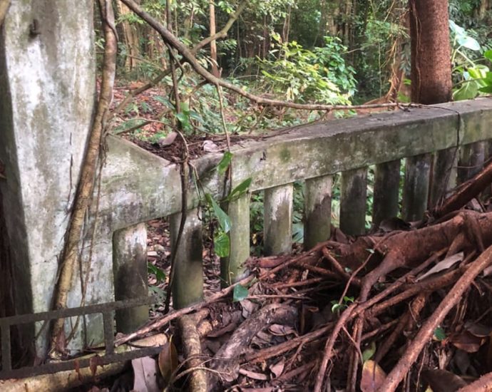 Woman who died after Upper Bukit Timah hike was crushed by concrete slab while taking photo: Coroner