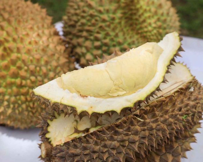 Yala durian registered as GI product