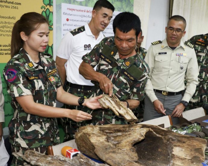 6 Vietnamese timber smugglers collared