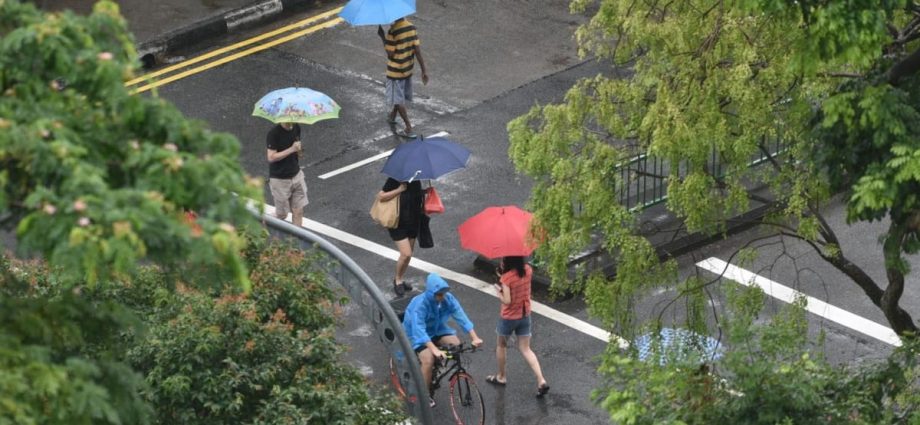 A wet 2022 for Singapore, even as temperatures soared